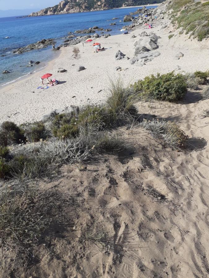 Agriturismo Gli Olivastri, Appartamento La Rosa Dei Venti Con Piscina E Solarium , Vista Mare ,Climatizzatore ,Wifi Aglientu Buitenkant foto